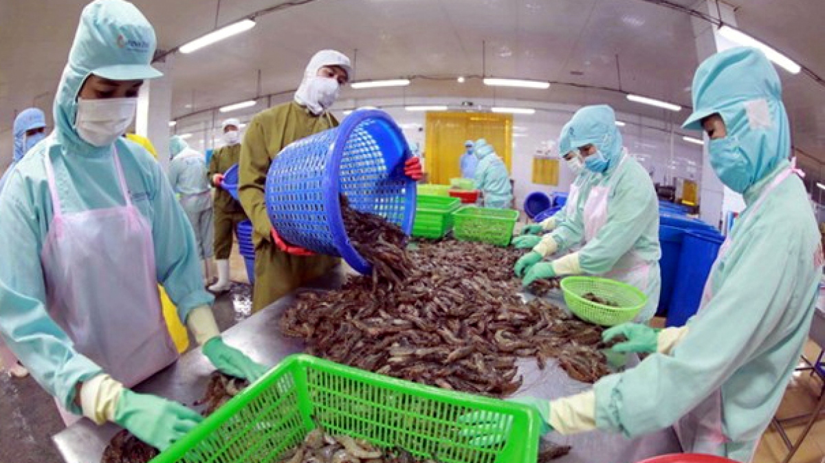 Ample room ahead to boost Vietnamese shrimp exports